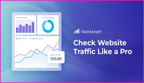The Ultimate Guide To Check Website Traffic And Ranking